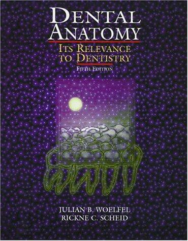 Dental anatomy