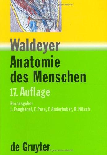 Waldeyer anatomie des menschen