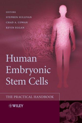 Human embryonic stem cells