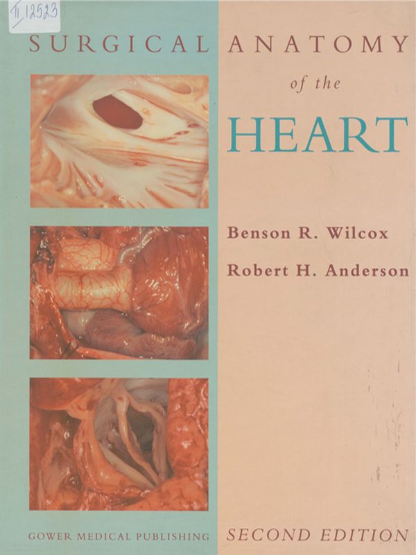 Surgical Anatomy of the Heart