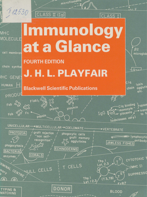 Oto-Rhino-Laringologie in Klinik und Praxis