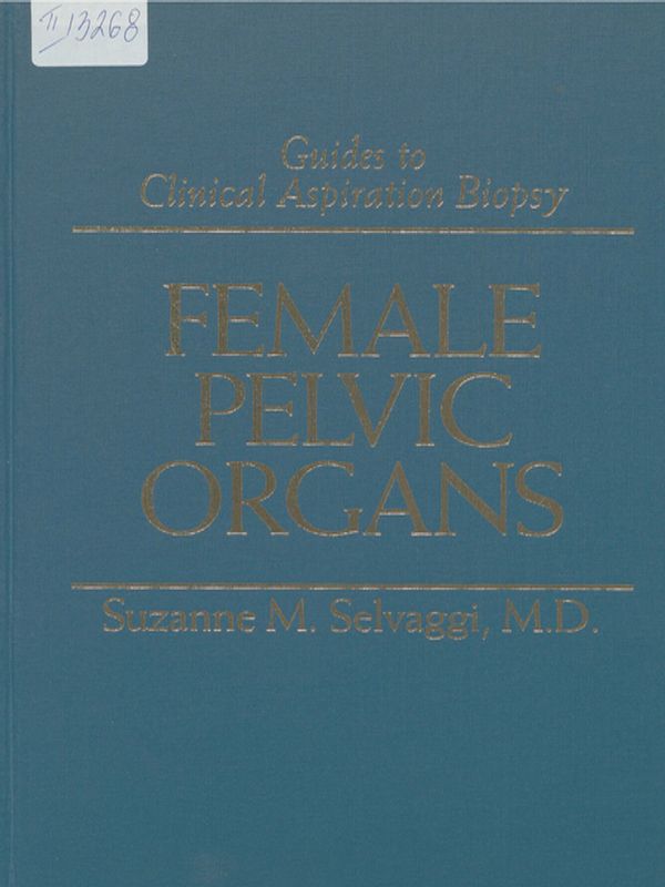 Female pelvic organs