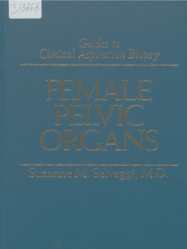 Female pelvic organs