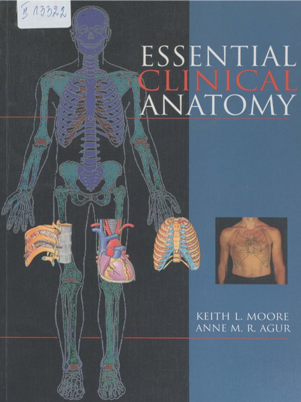 Essential clinical anatomy