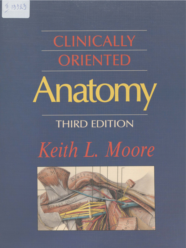 Clinically oriented anatomy