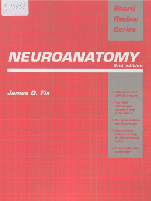 Neuroanatomy