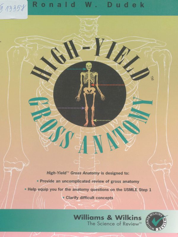 High-yield gross anatomy