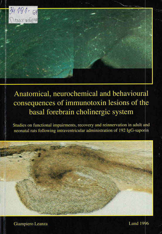 Anatomical, neurochemical and behavioural consequences of immunotoxin lesions of the basal forebrain cholinergic system: Studies on functional impairments, recovery and reinnervation in adult and neonatal rats following intraventricular administratio