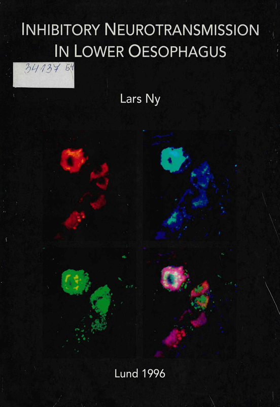Inhibitory neurotransmission in lower oesophagus