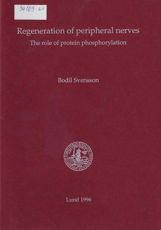 Regeneration of peripheral nerves