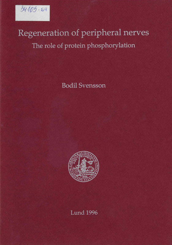 Regeneration of peripheral nerves
