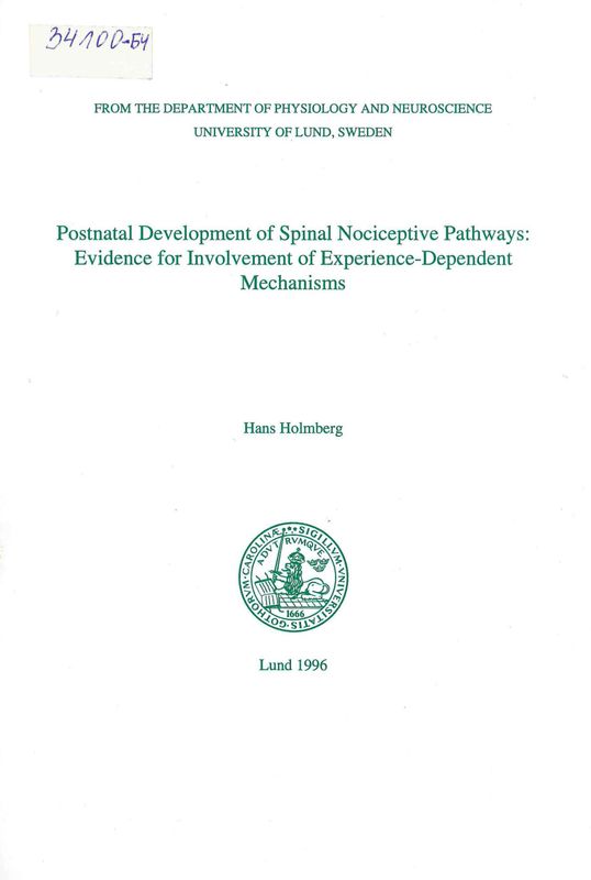 Postnatal development of spinal nociceptive pathways
