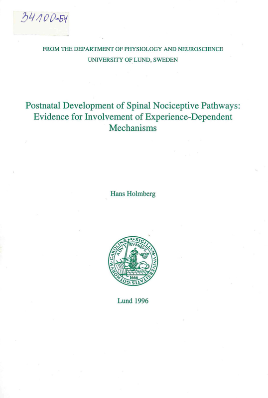 Postnatal development of spinal nociceptive pathways