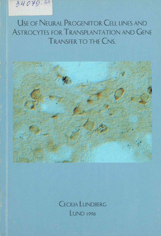 Use of neural progenitor cell lines and astrocytes for transplantation and gene transfer to the Cns