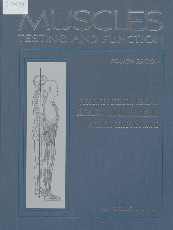 Muscles testing and function