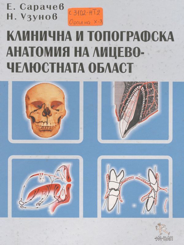 Клинична и топографска анатомия на лицево-челюстната област