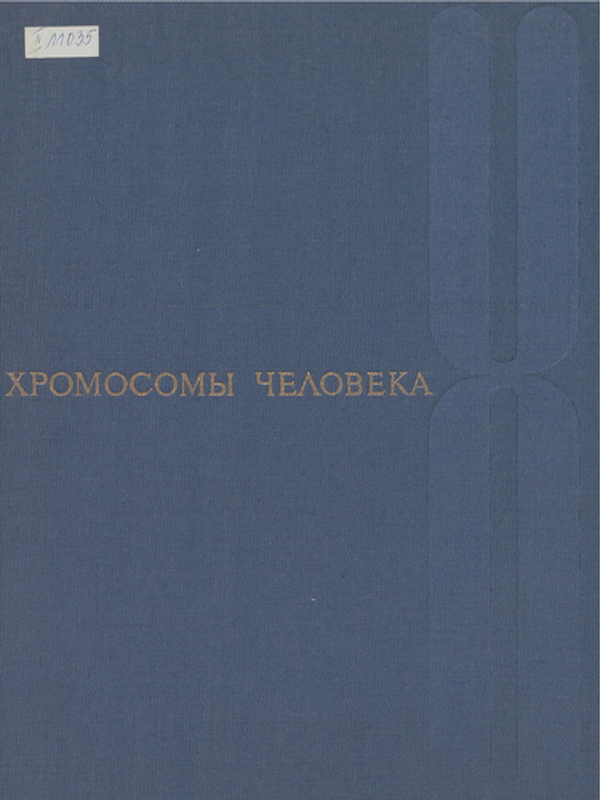 Хромосомы человека