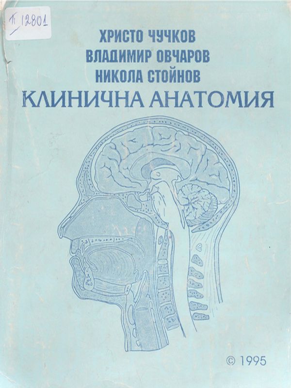 Клинична анатомия