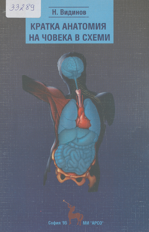 Кратка анатомия на човека в схеми