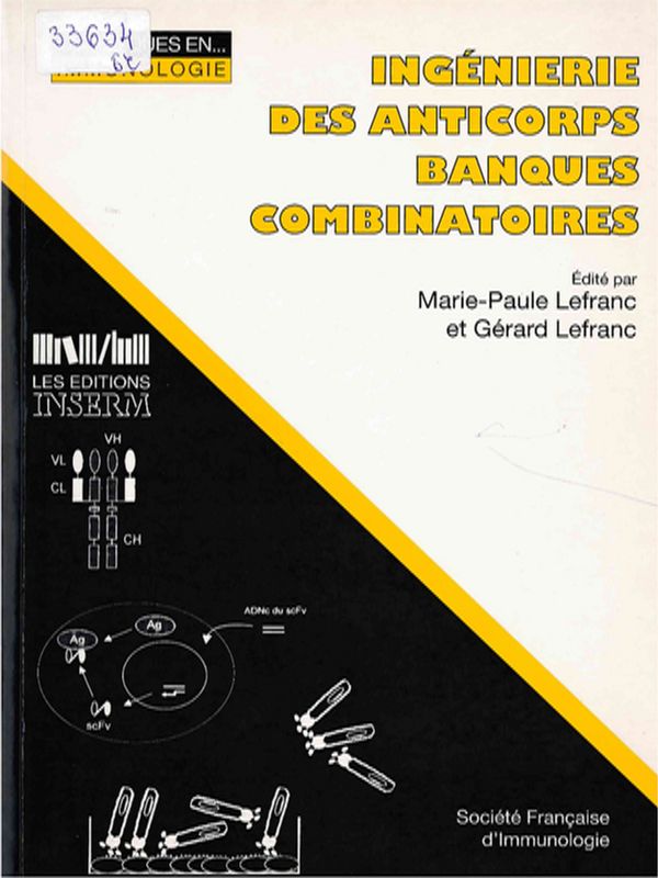 Ingenierie des anticorps banques combinatoires