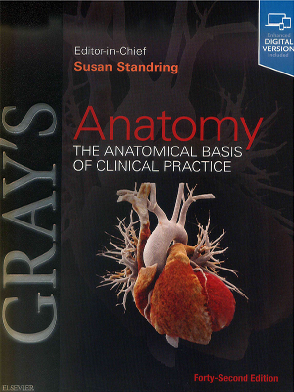 Gray`s anatomy