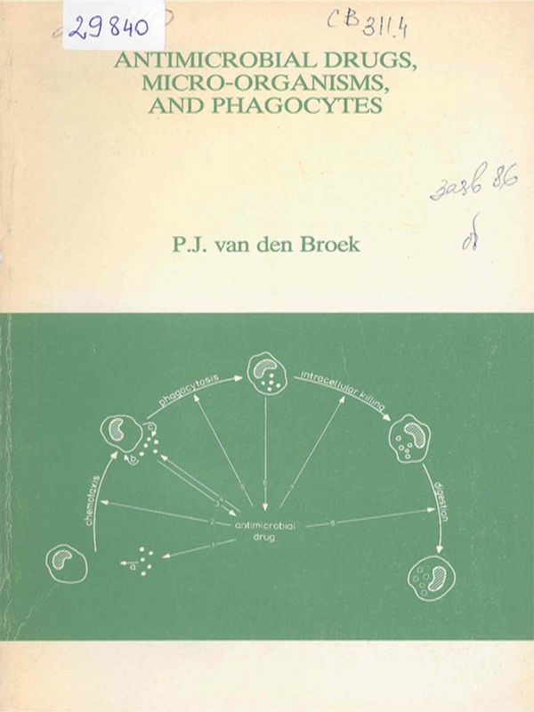 Antimicrobial drugs, micro-organisms, and phagocytes