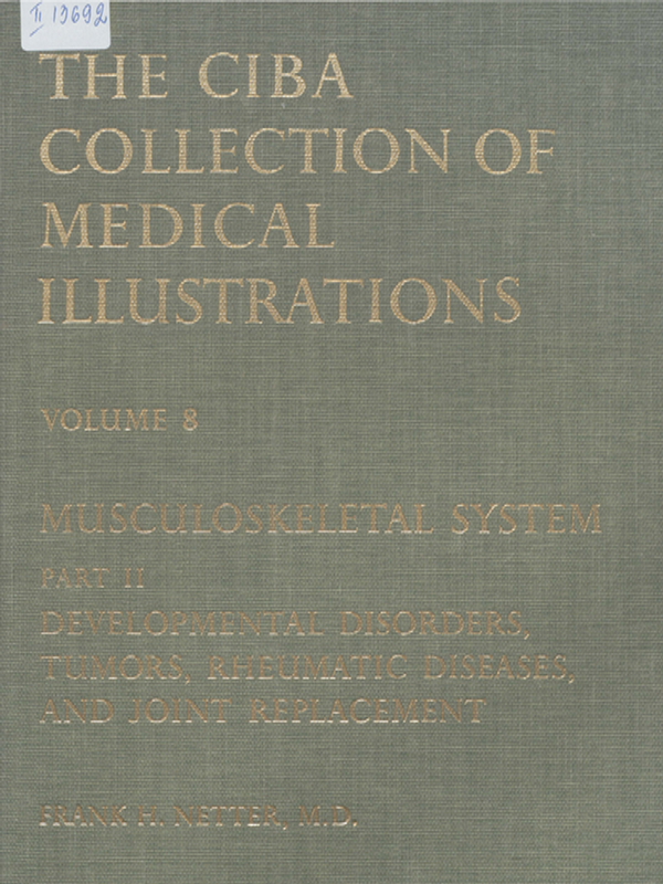 Musculoskeletal system