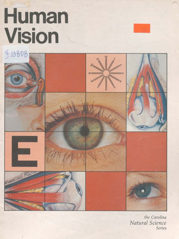 Human vision