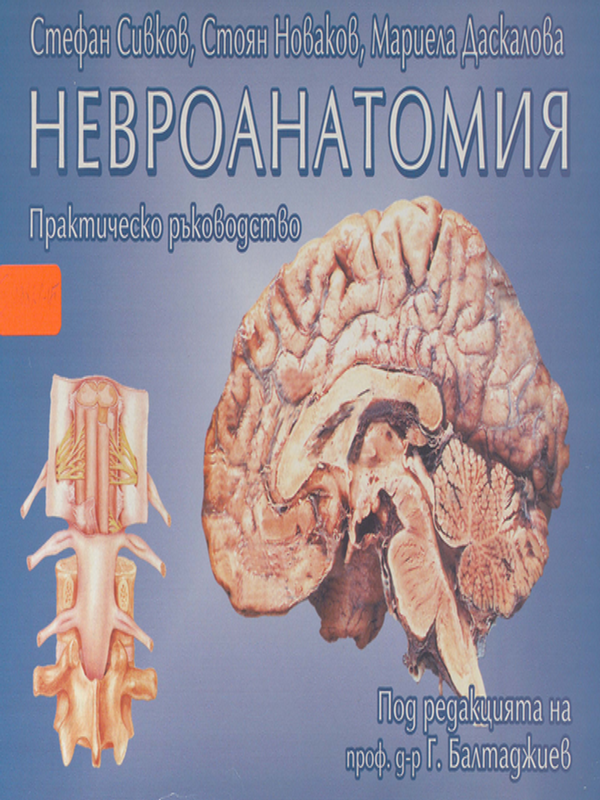 Невроанатомия