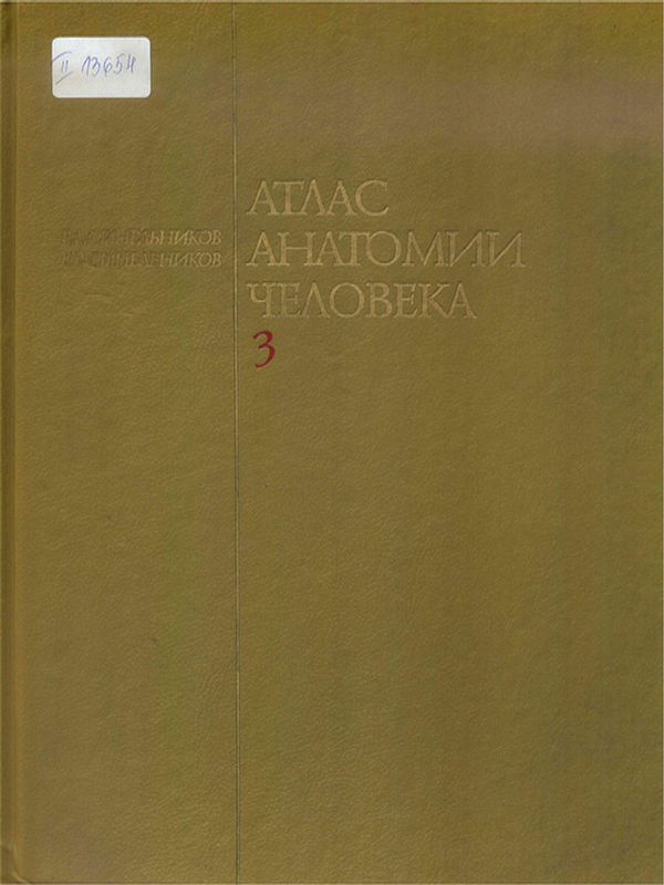 Атлас анатомии человека