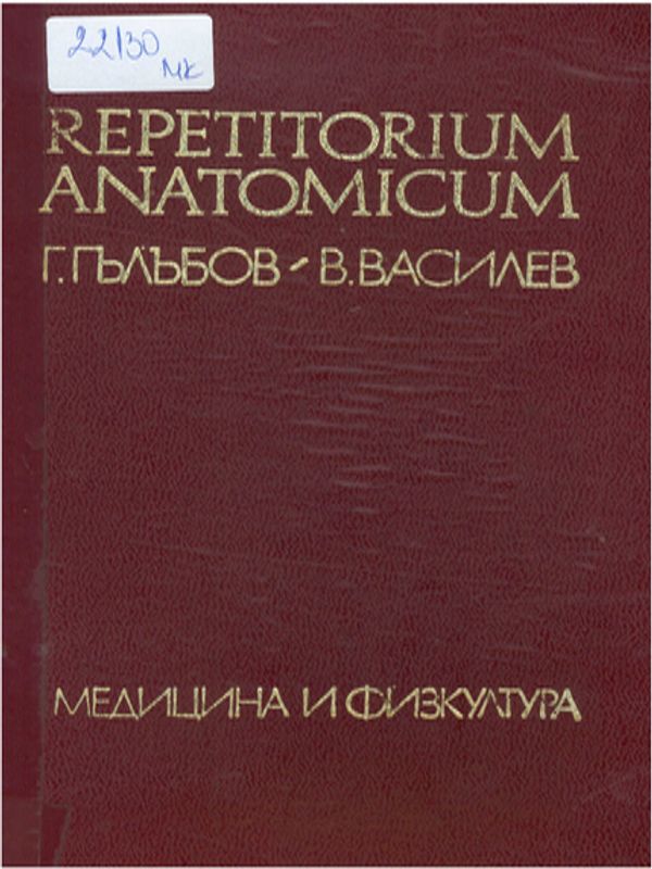 Repetitorium anatomicum