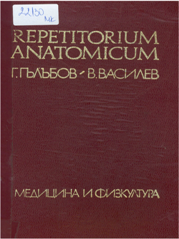 Repetitorium anatomicum