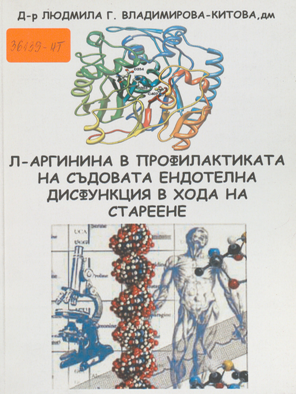 L-аргинина в профилактиката на ендотелна дисфункция в хода на стареене