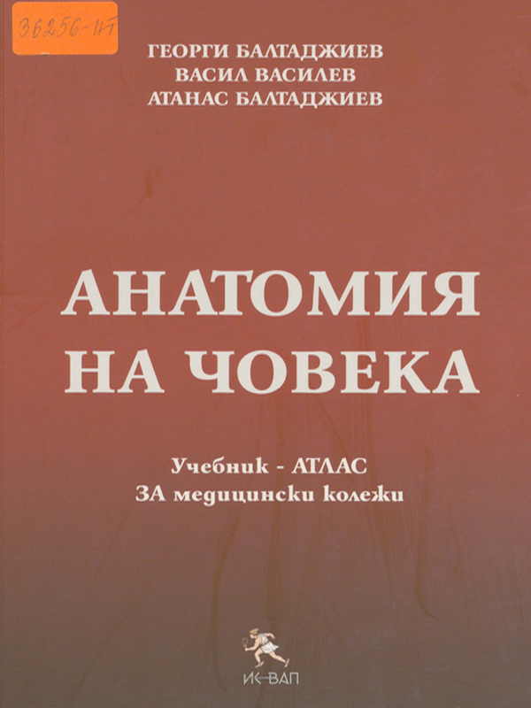 Анатомия на човека