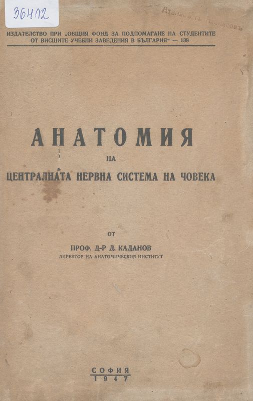 Анатомия на централната нервна система на човека