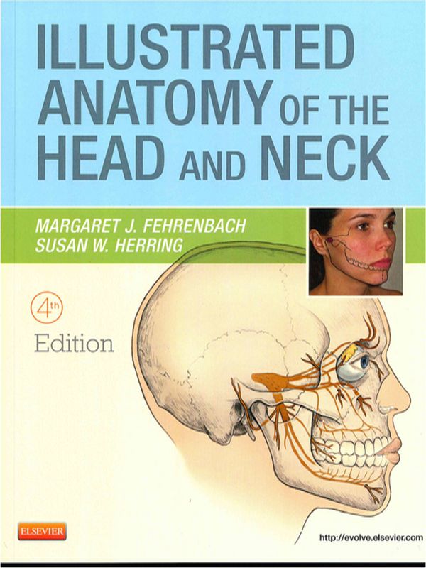 Illustrated anatomy of the head and neck