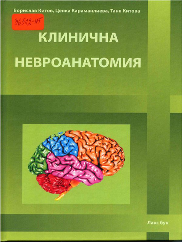 Клинична невроанатомия