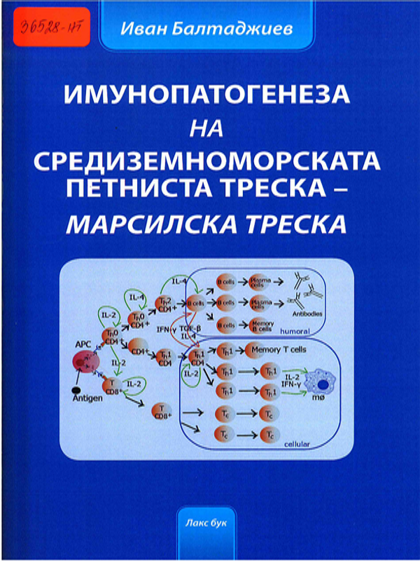 Имунопатогенеза на Средиземноморската петниста треска - Марсилска треска