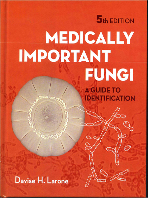 Medically important fungi