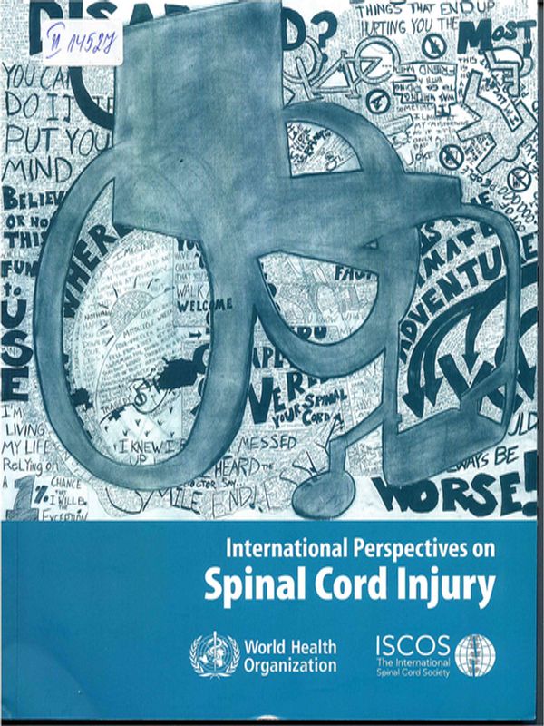 International perspectives on spinal cord injury