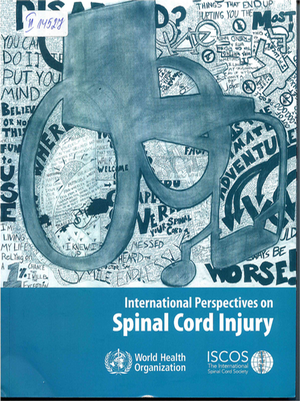 International perspectives on spinal cord injury