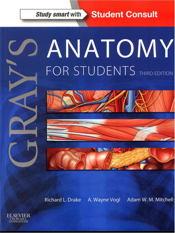 Gray`s anatomy for students