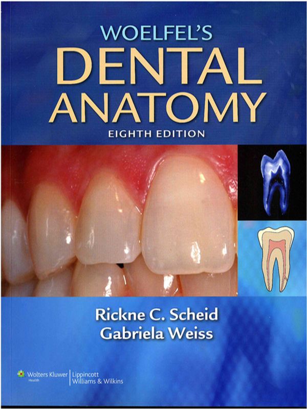 Woelfel`s dental anatomy