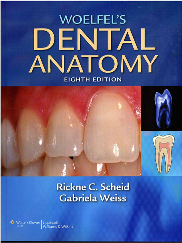 Woelfel`s dental anatomy