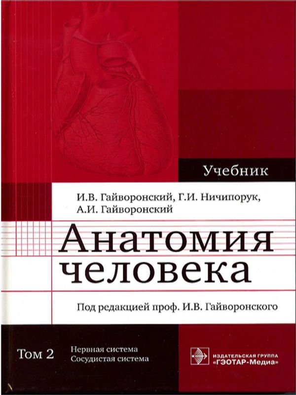 Анатомия человека : Учебник