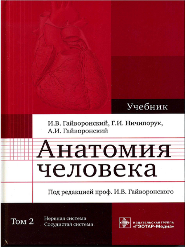 Анатомия человека : Учебник