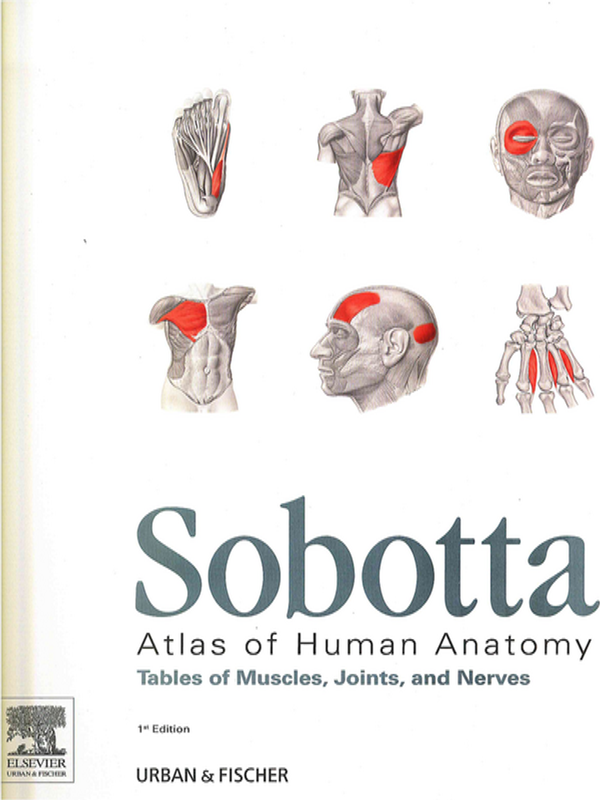 Sobotta : Atlas of human anatomy