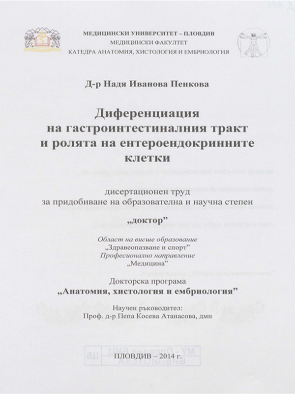 Диференциация на гастроинтестиналния тракт и ролята на ентероендокринните клетки