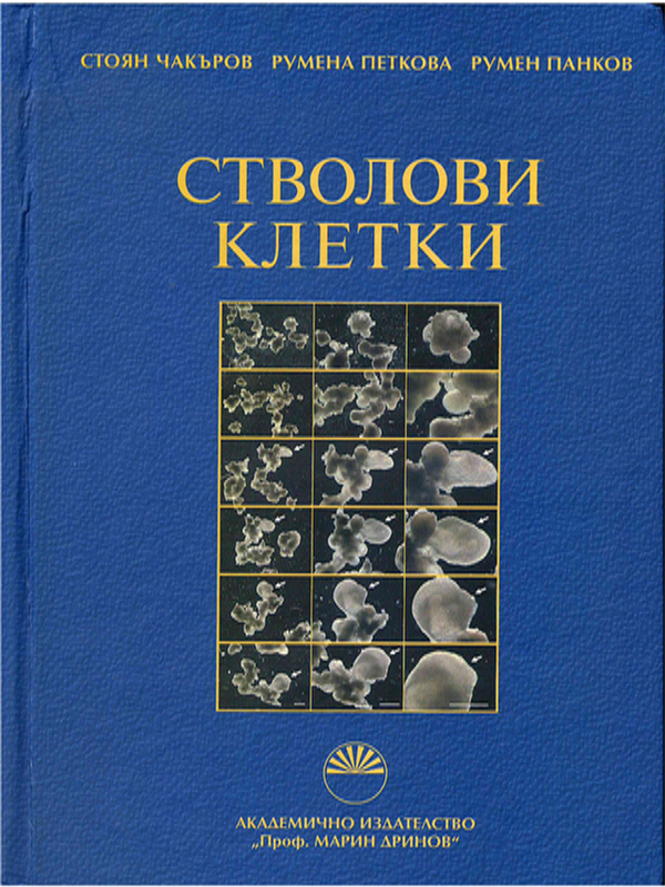 Стволови клетки