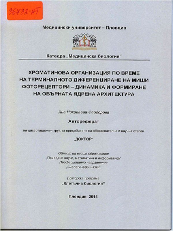 Хроматинова организация по време на терминалното диференциране на миши фоторецептори - динамика и формиране на обърната ядрена архитектура